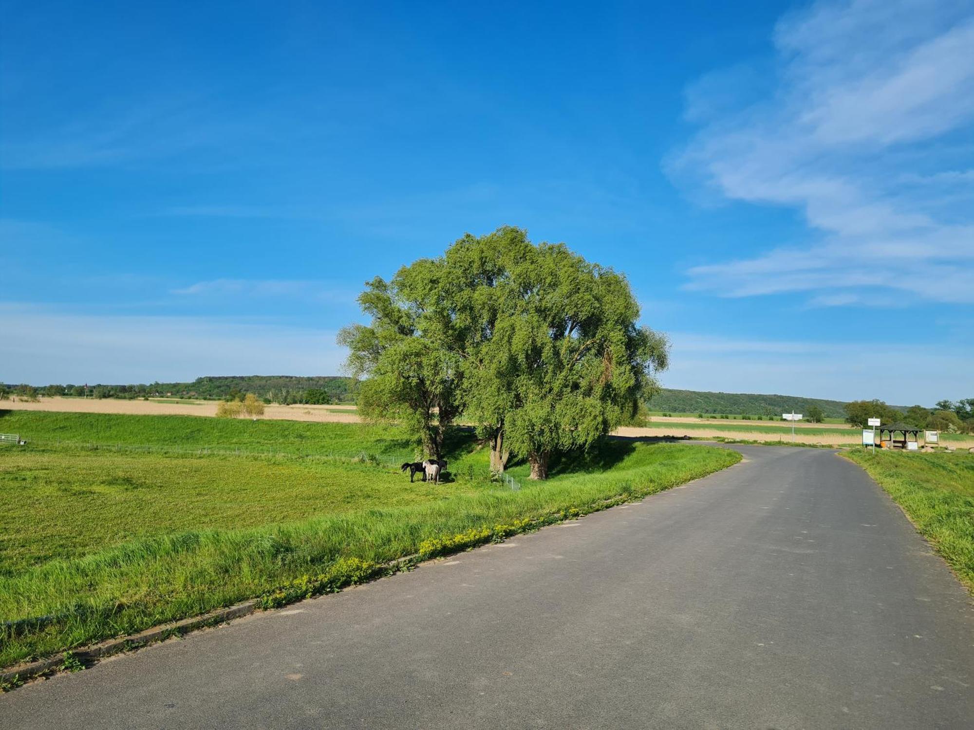 Ferienwohnungen Stolzenhagener 7 Lunow-Stolzenhagen Exterior foto