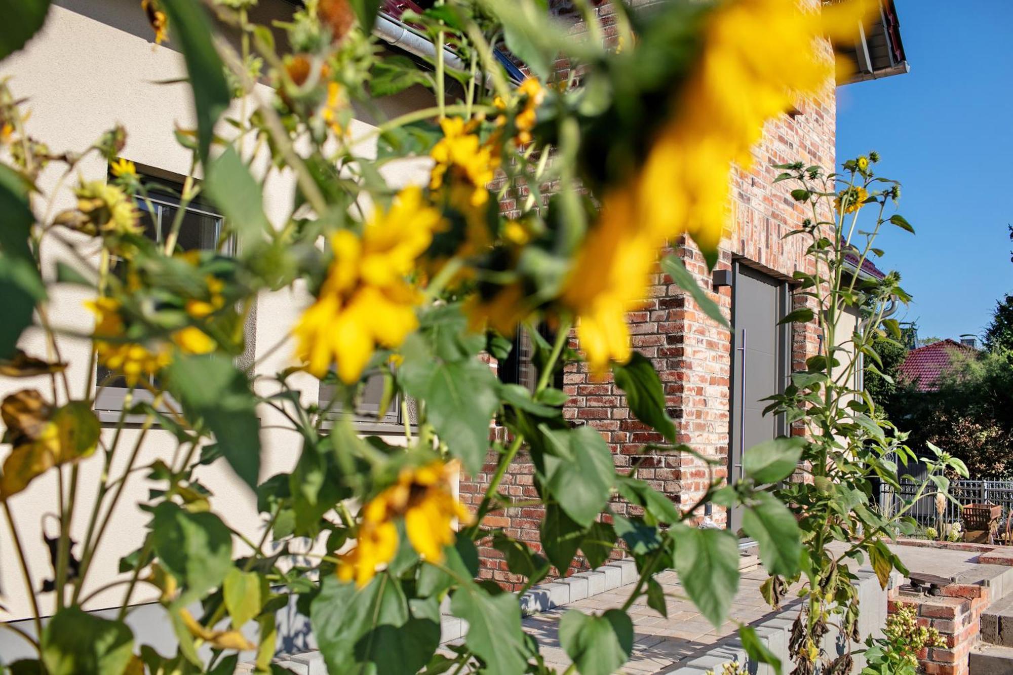 Ferienwohnungen Stolzenhagener 7 Lunow-Stolzenhagen Exterior foto
